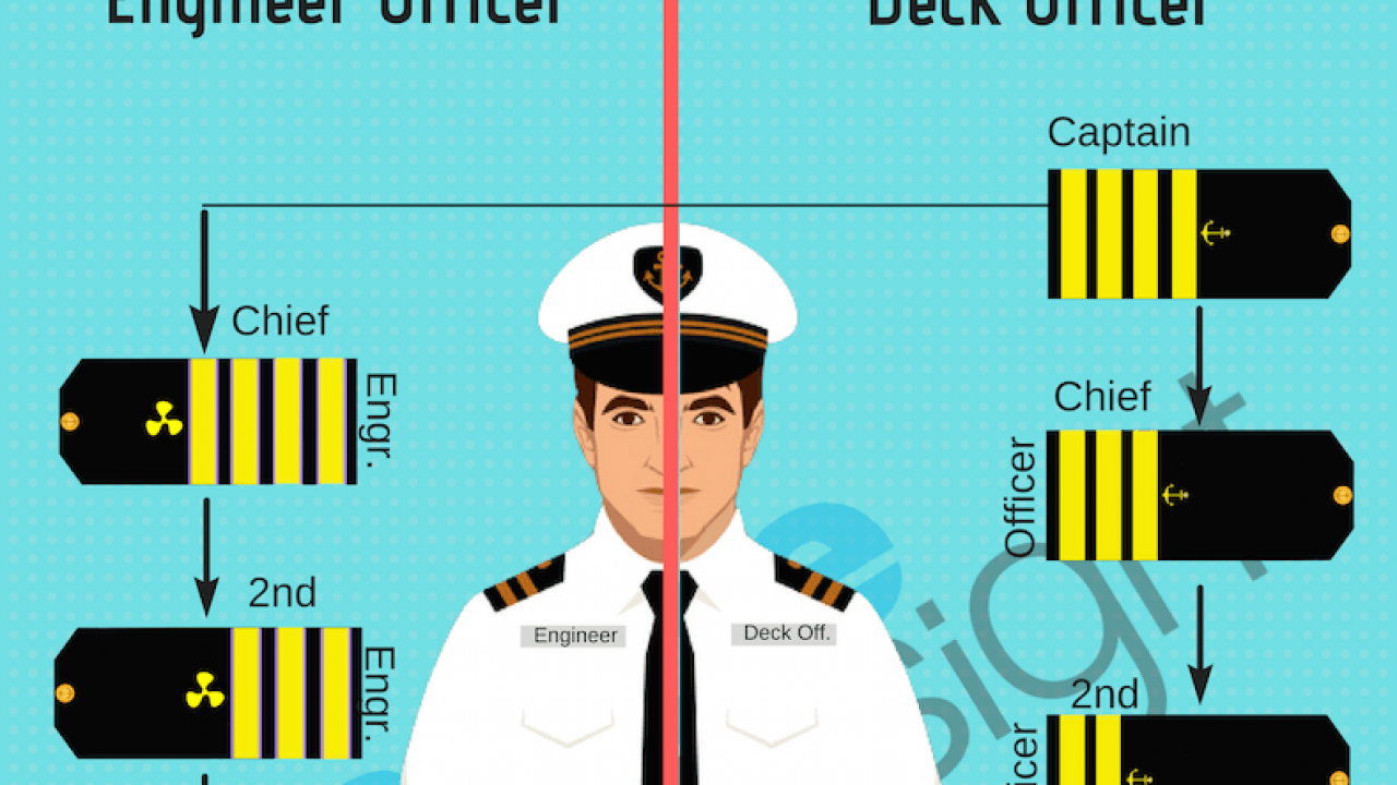 cruise ship job hierarchy