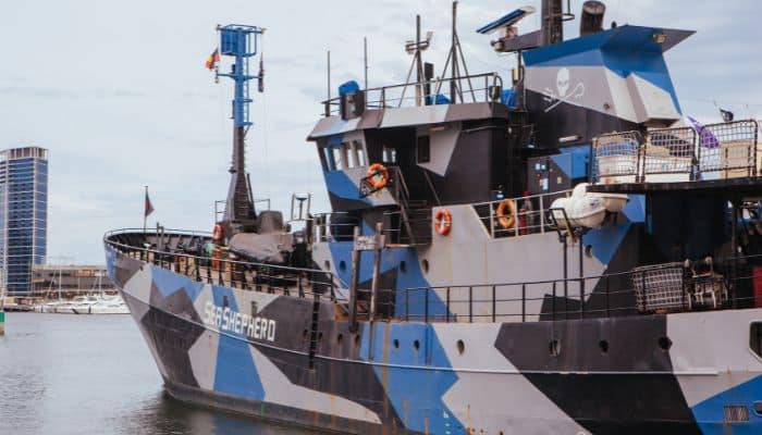 Why Everyone Is Talking About Sea Shepherd 