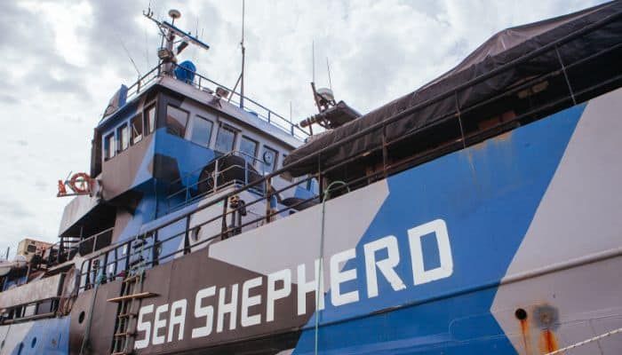 Ship Visit: Sea Shepherd Shows the Future of Fisheries Protection - War on  the Rocks