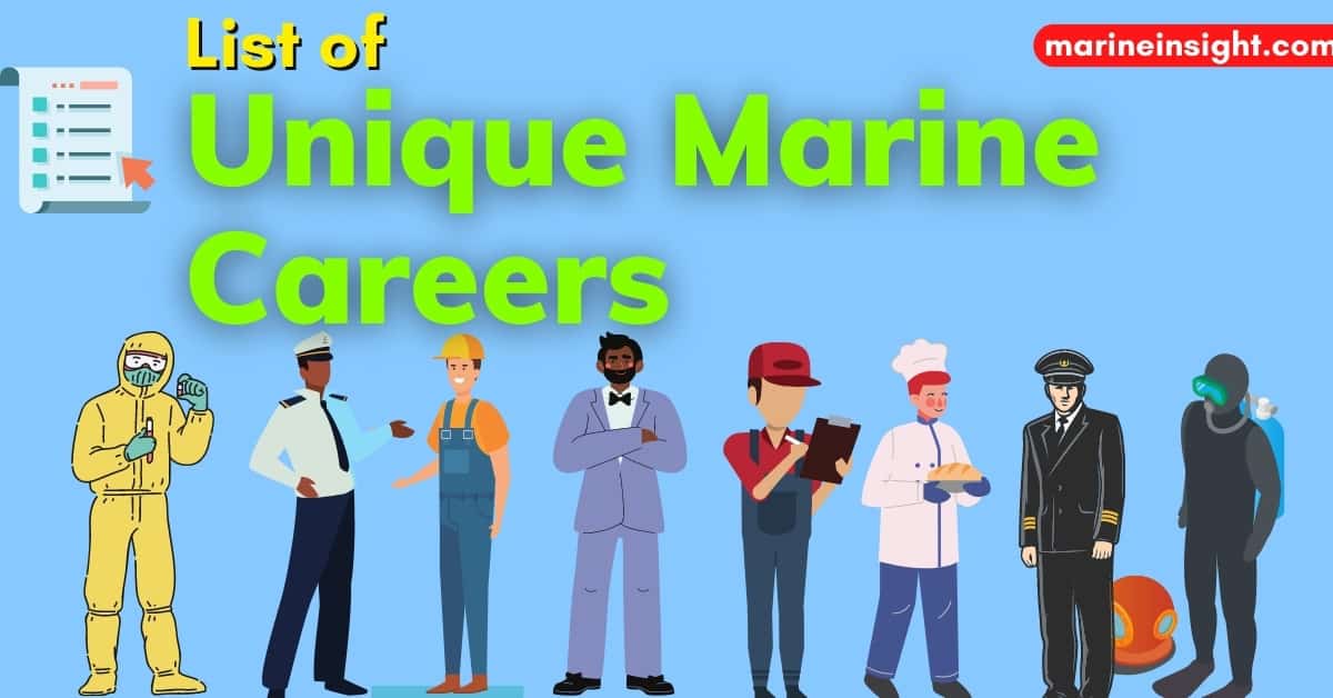 A List of Unique and Interesting Marine Careers