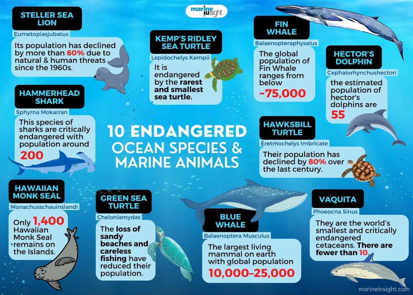 infographic endangered species