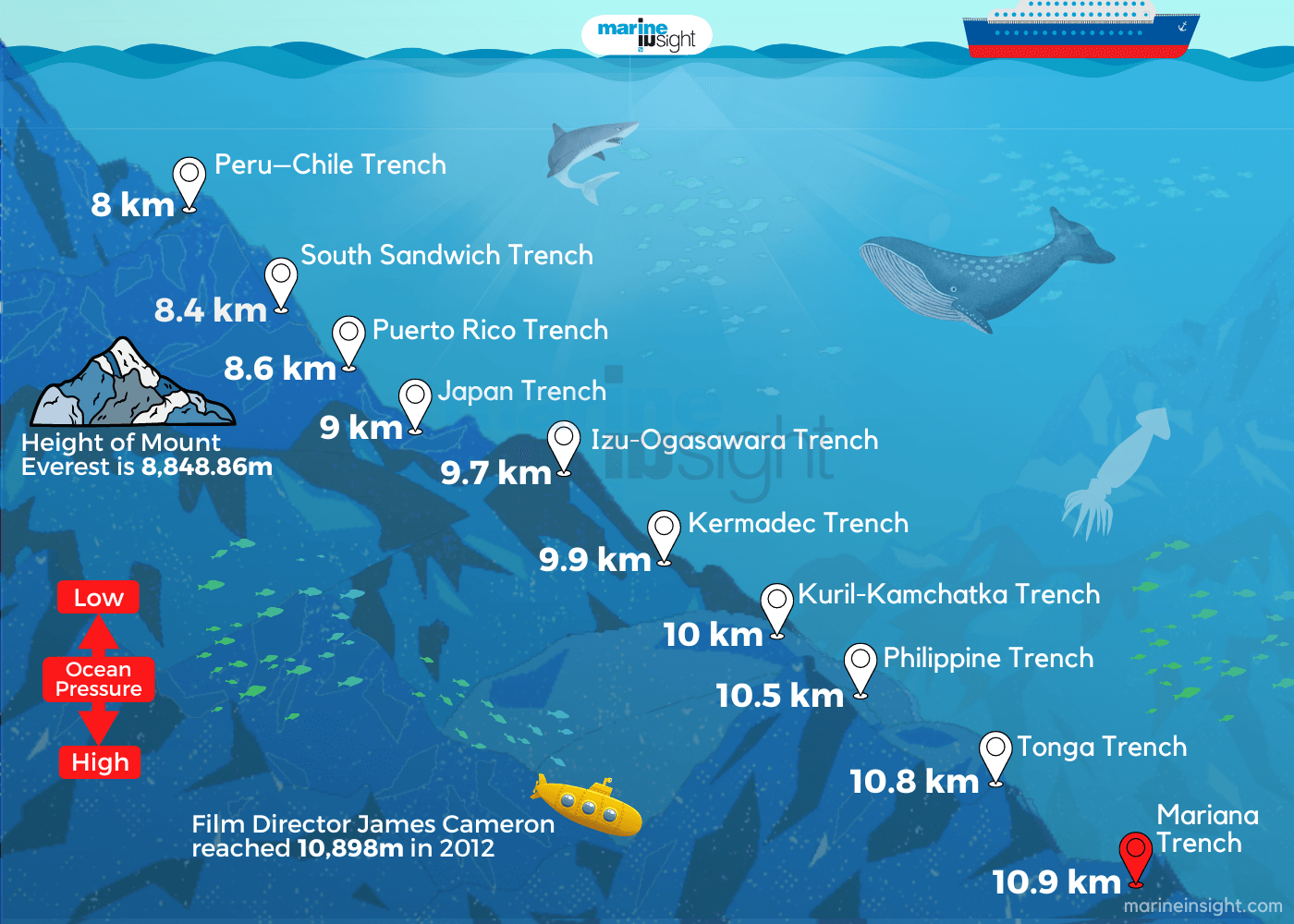 real ocean trenches