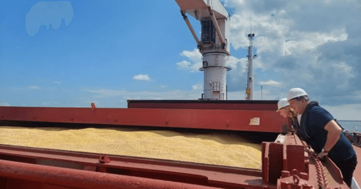 Inspection Of The First Commercial Vessel Under The Black Sea Grain Initiative Completed