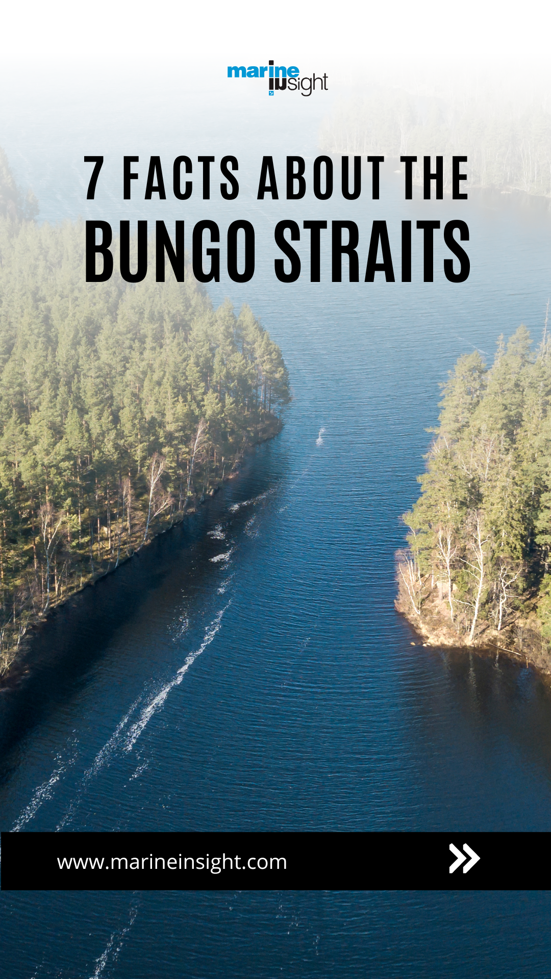 7 Amazing Facts About The Bungo Straits